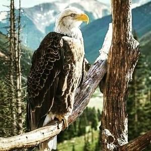 Meet your Posher, Vinny